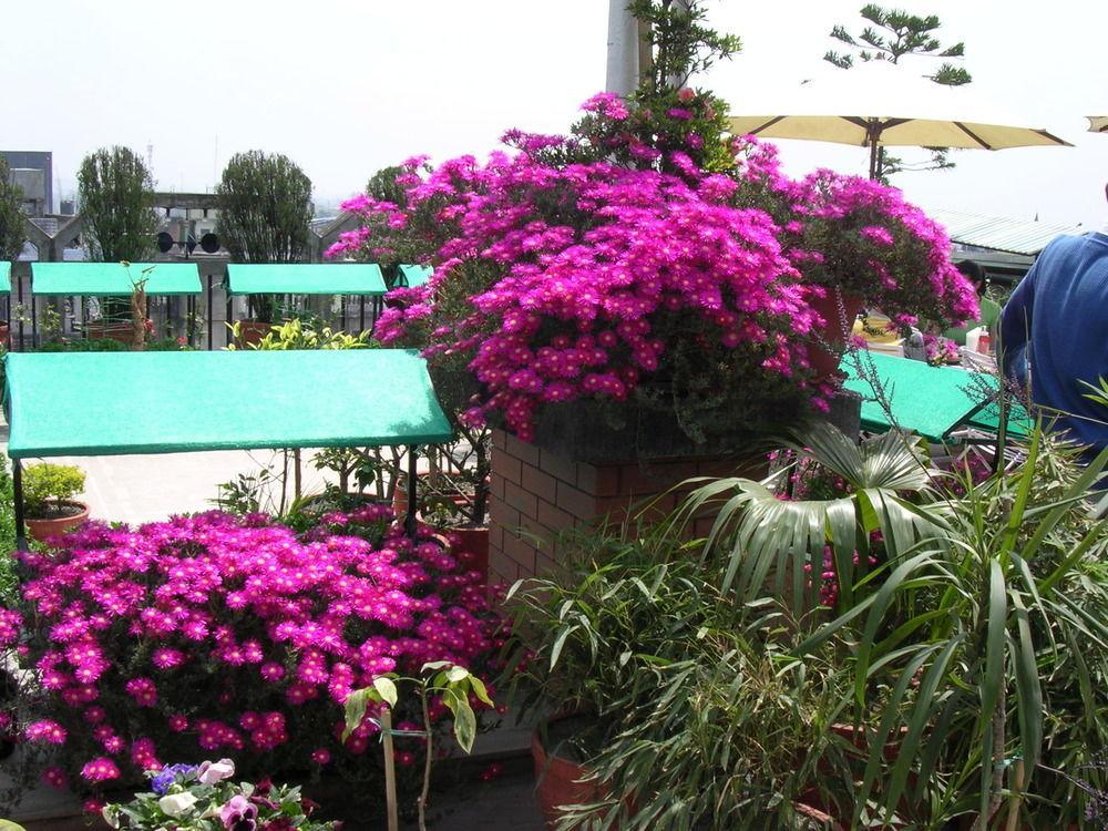 Hotel Excelsior Kathmandu Exteriör bild